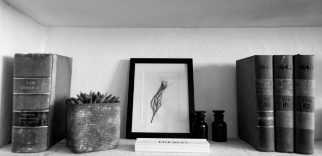 framed leaf charcoal drawing on a shelf design